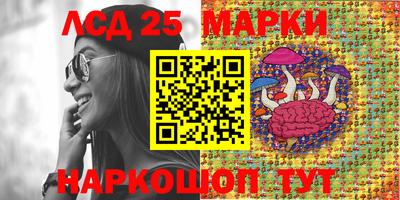 дживик Кандалакша