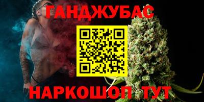 прущие грибы Камышлов