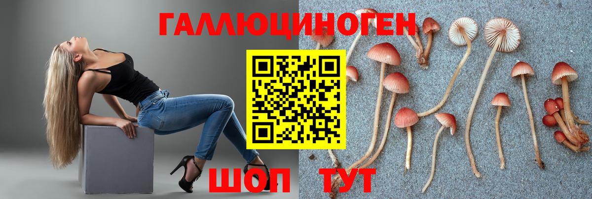 Галлюциногенные грибы прущие грибы Кстово